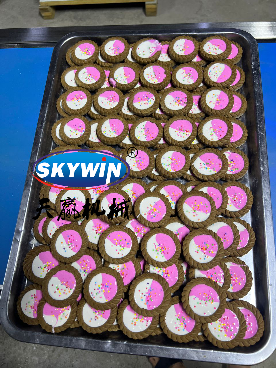 آلة صنع بسكويت الشوكولاتة Skywin، آلة تخزين المربى ونفق التبريد